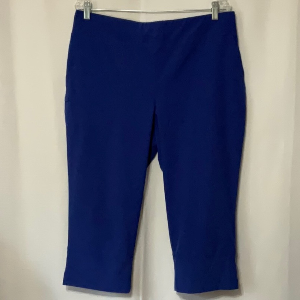 Zenergy By Chicos Women's Blue Pants